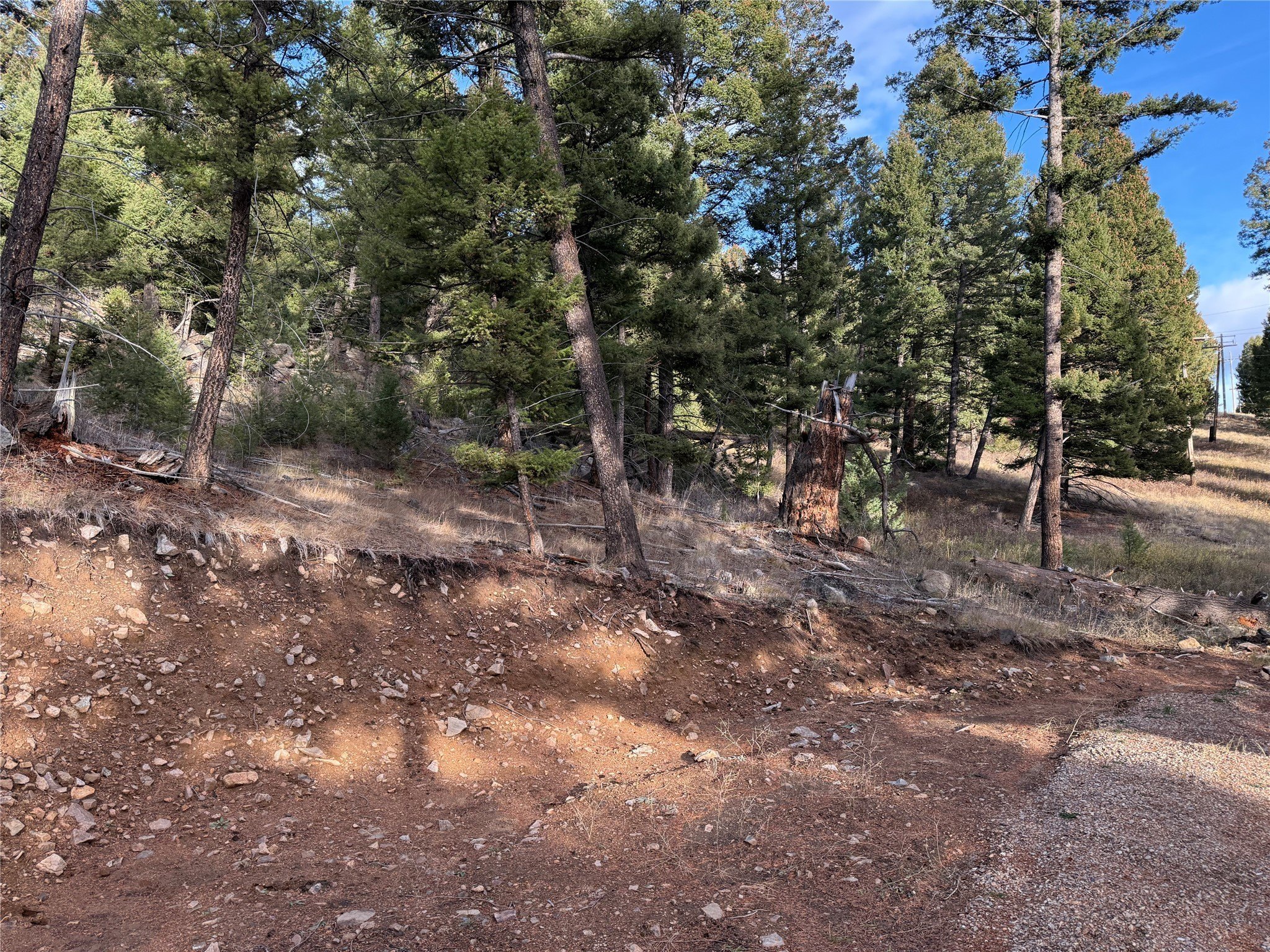 Plots and Land - Lot 5 Scranton Lode, Philipsburg, MT