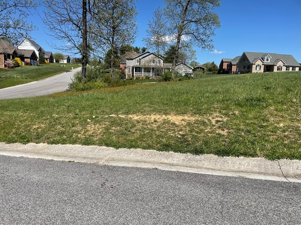 Other - Allison Lane lot: 36, Wytheville, VA