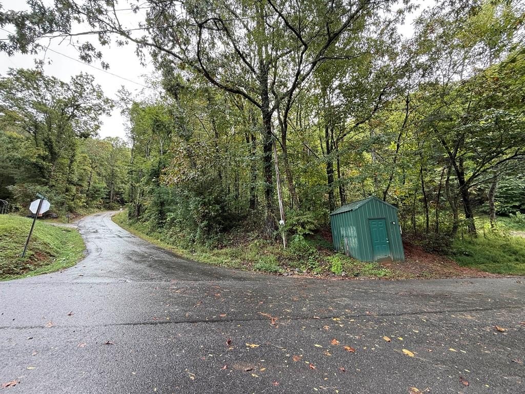 Other - Lot 12 Rainbow Ridge, Hiawassee, GA
