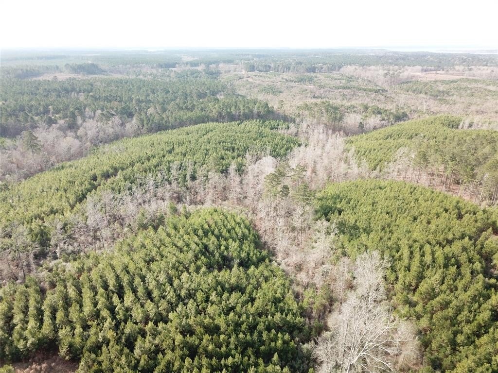 Plots and Land - 00 Off McManus Road, Zwolle, LA