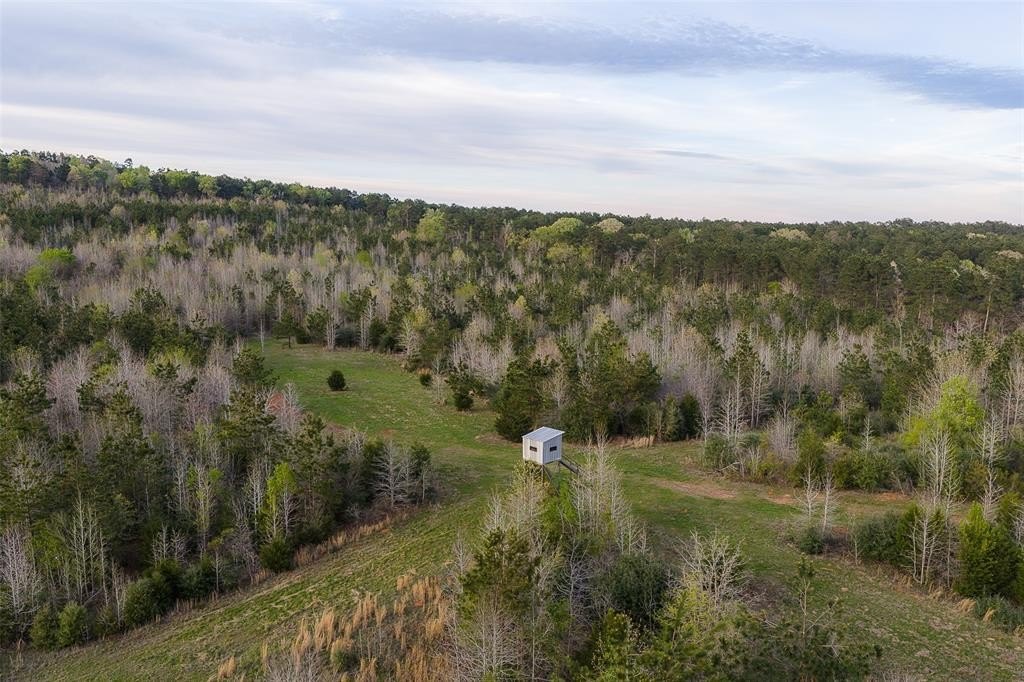 Other - of County Road 839, Nacogdoches, TX