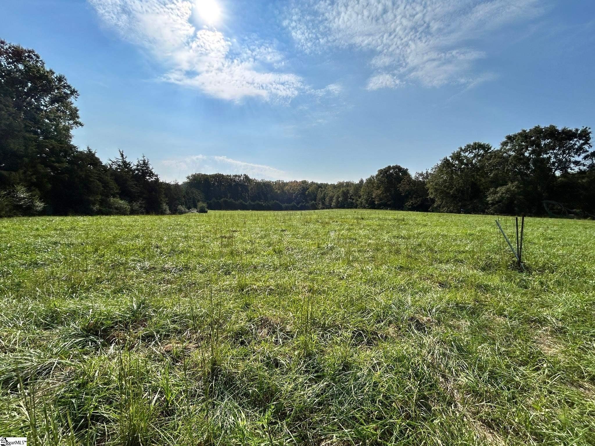 Other - Williams Road, Pelzer, SC