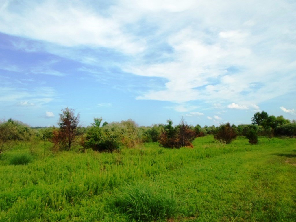 Other - 0 Ivy Creek, Ivel, KY