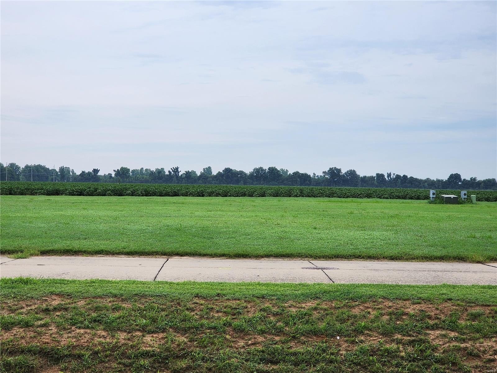 Other - 809 Bollweevil Blvd, Sikeston, MO