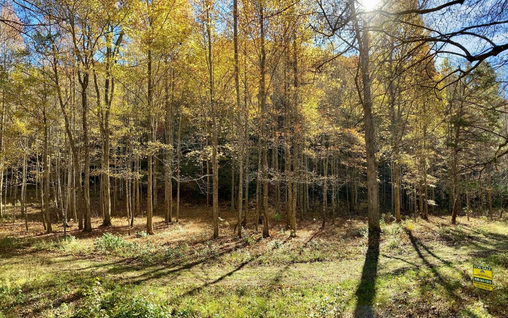 Other - 5 Tusquittee Crossing lot: 5, Hayesville, NC