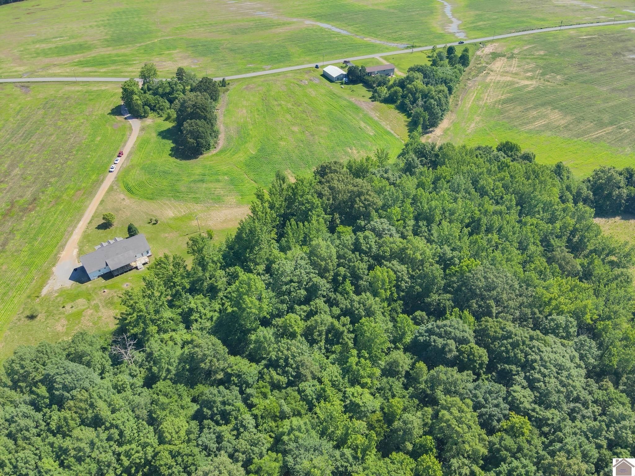 Other 5BR 4BA - 445 Lydon Road, Paducah, KY