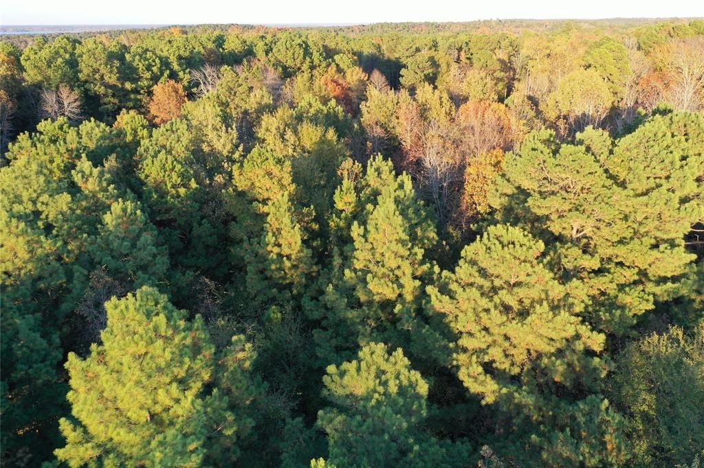 Other - Co Rd 2117, Douglassville, TX