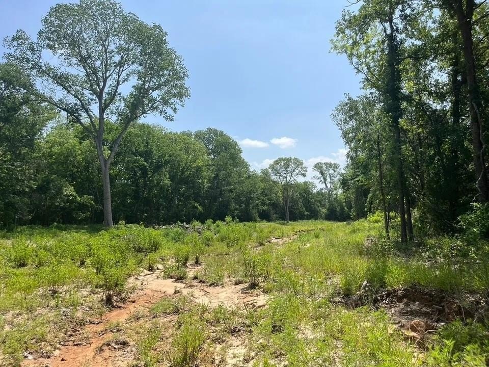 Plots and Land - Lot 45 Antrim Ct, Poolville, TX