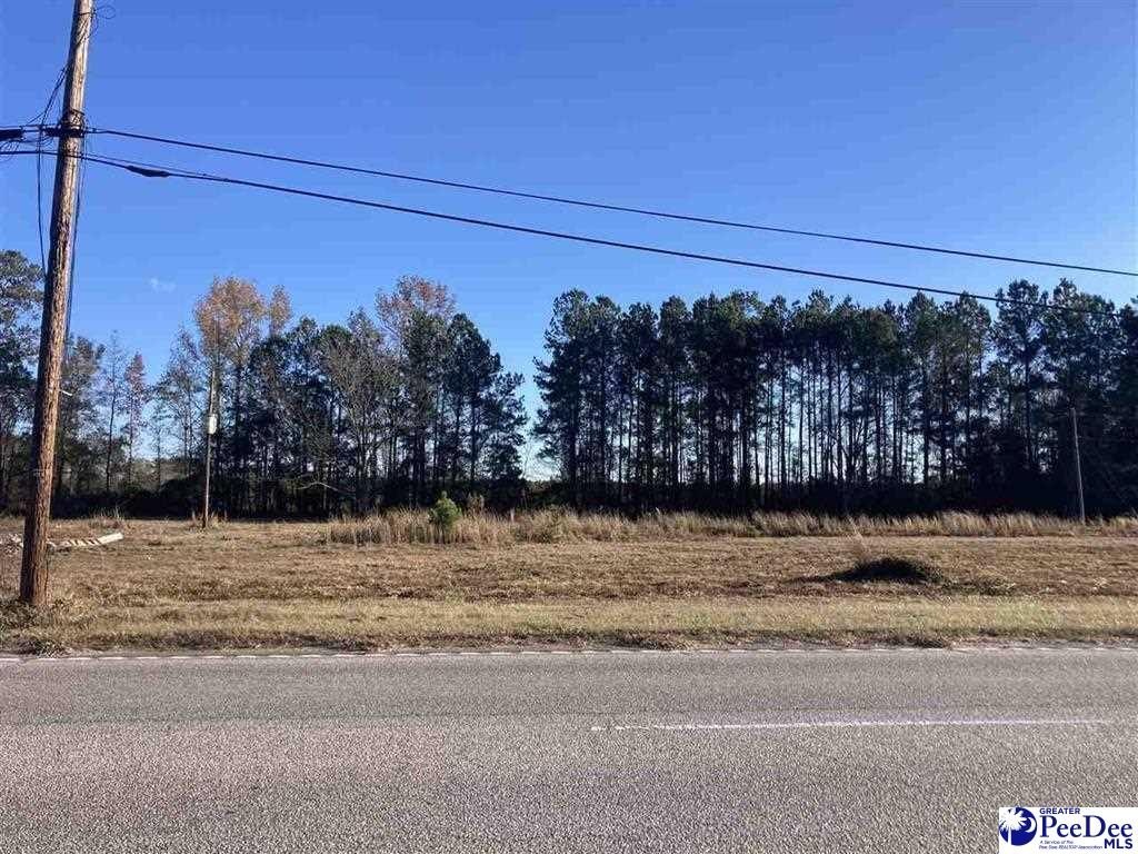 Other - 2630 S Highway 301, Dillon, SC