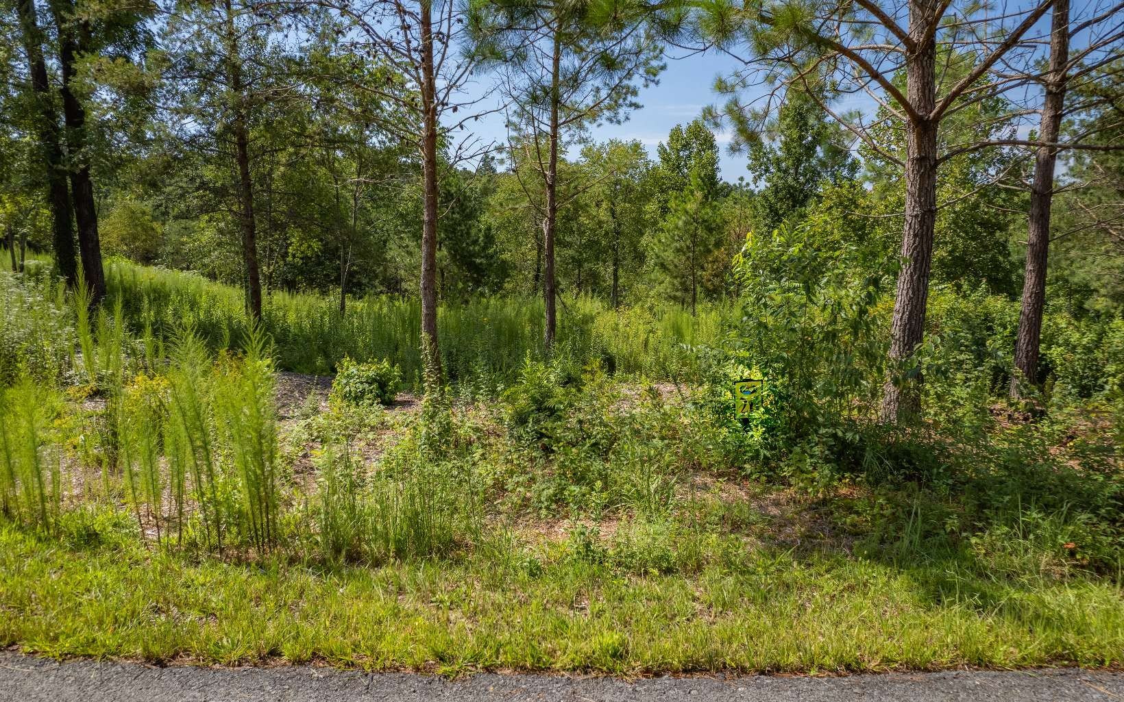 Other - Lt 26 Arbor Creek Trail, Mineral Bluff, GA