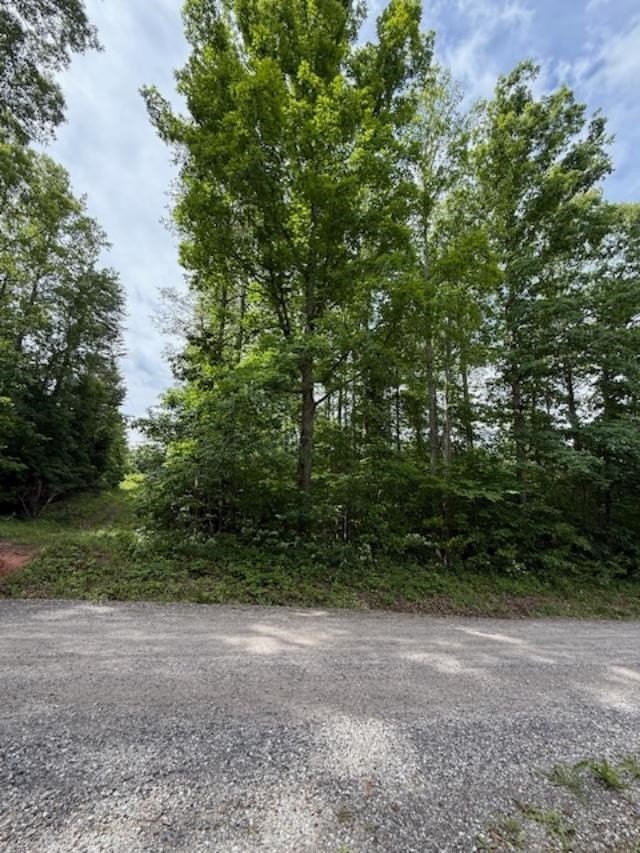Other - 0 E. Pamplin RD, Pamplin, VA
