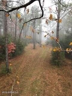 000 Tim Bradley Rd  