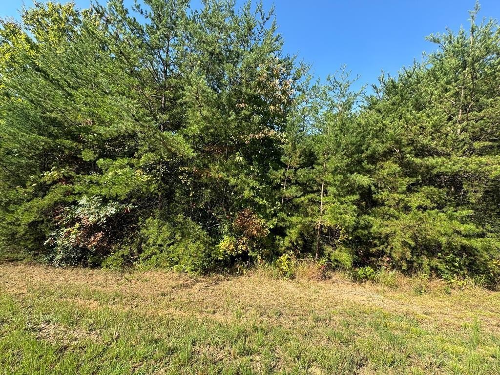 Other - 115 Blackhawk Lane, Turtletown, TN