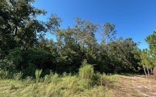 Single Family - TBD 209TH PLACE, Live Oak, FL