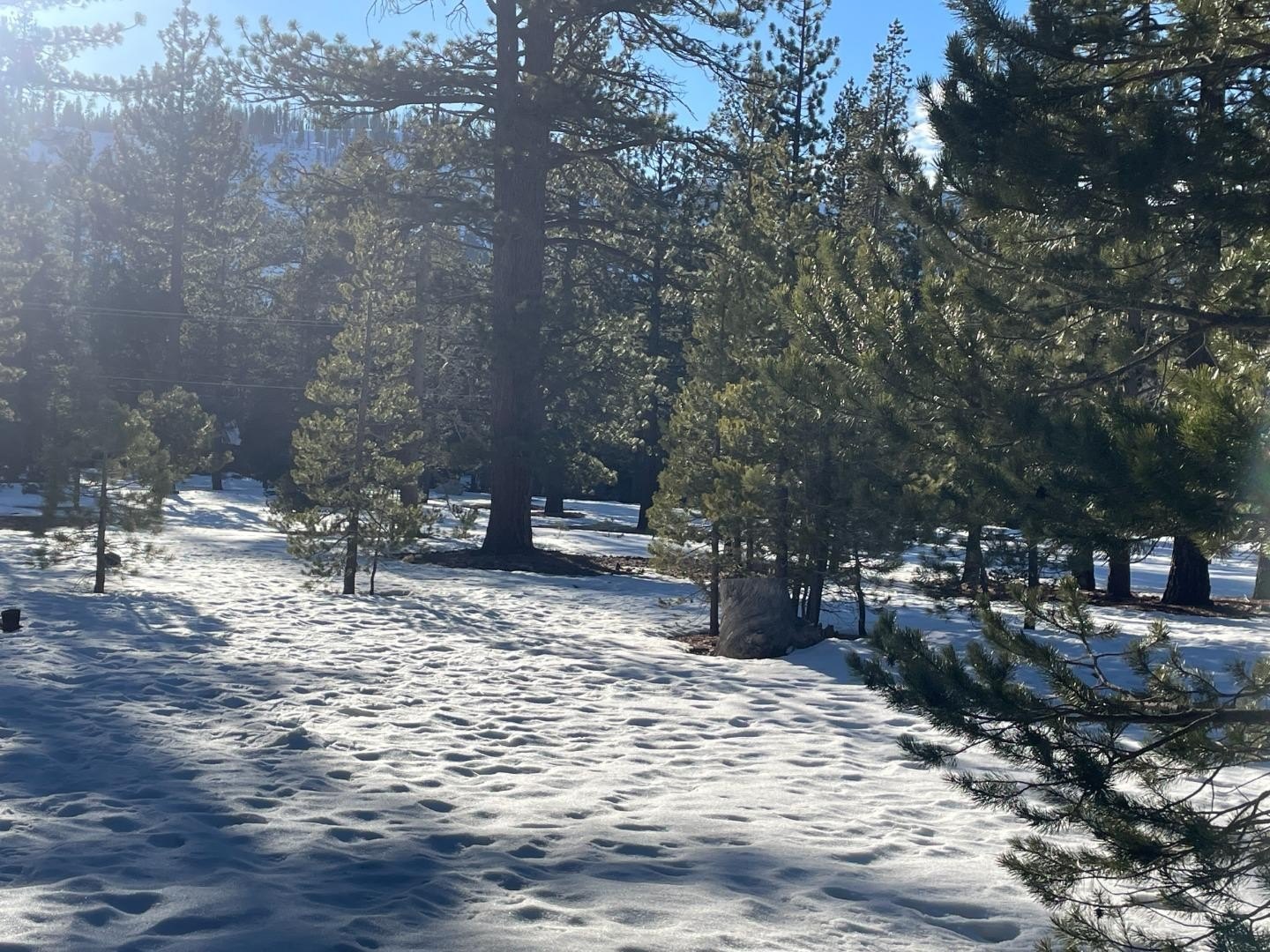 Other - 2510 Blitzen RD, SOUTH LAKE TAHOE, CA