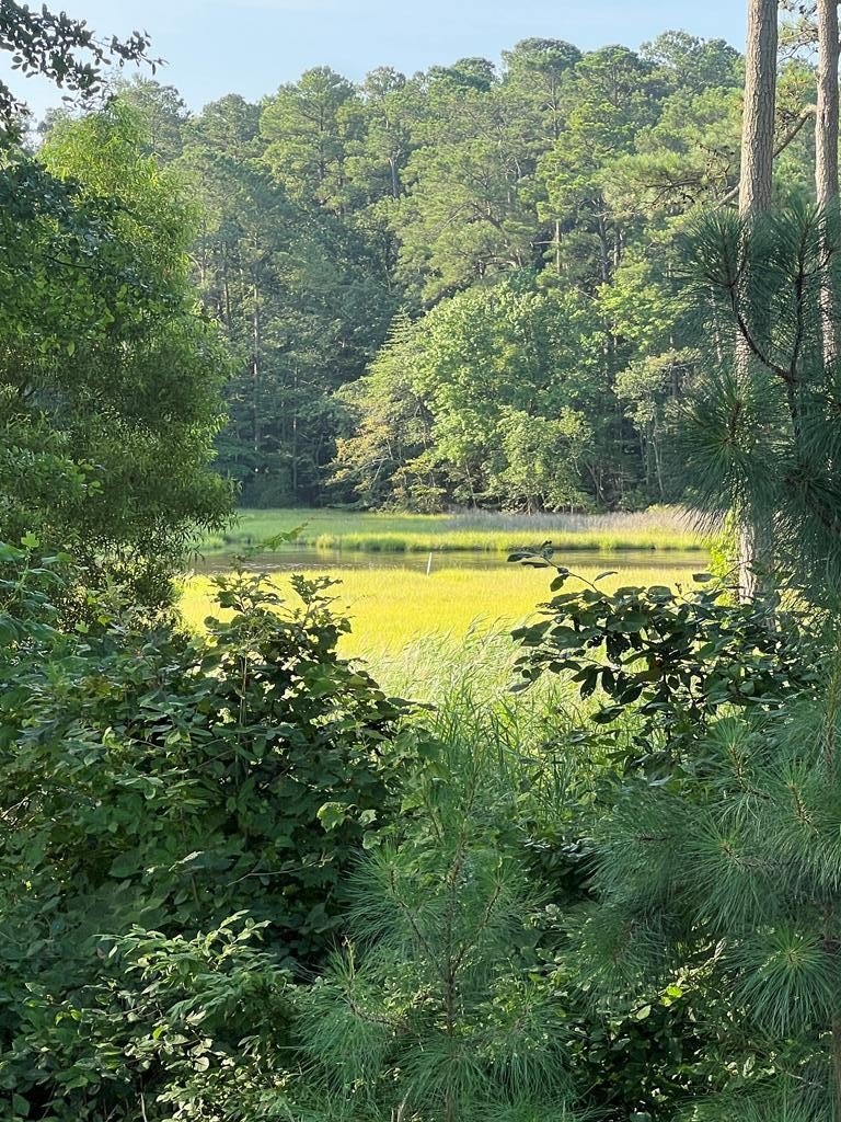 Other - Lot 75 OLDE MILL LANE, NEW CHURCH, VA