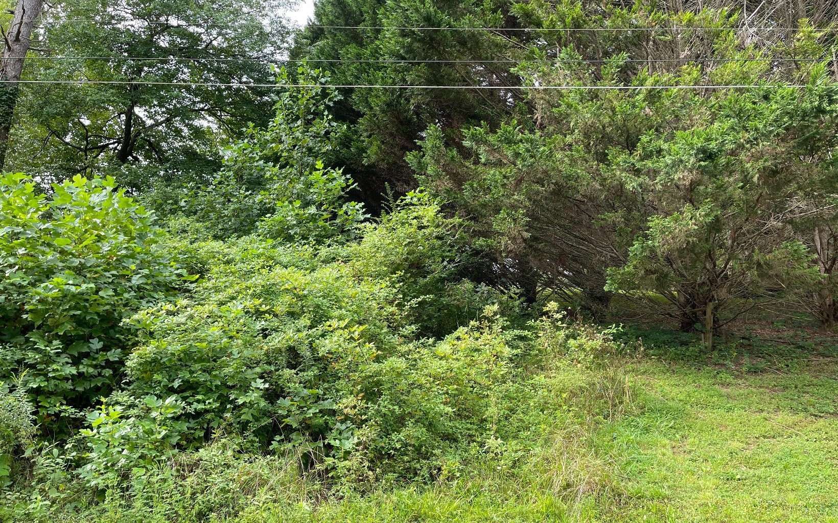 Other - Lot 27 Sneaking Creek Drive, Hayesville, NC