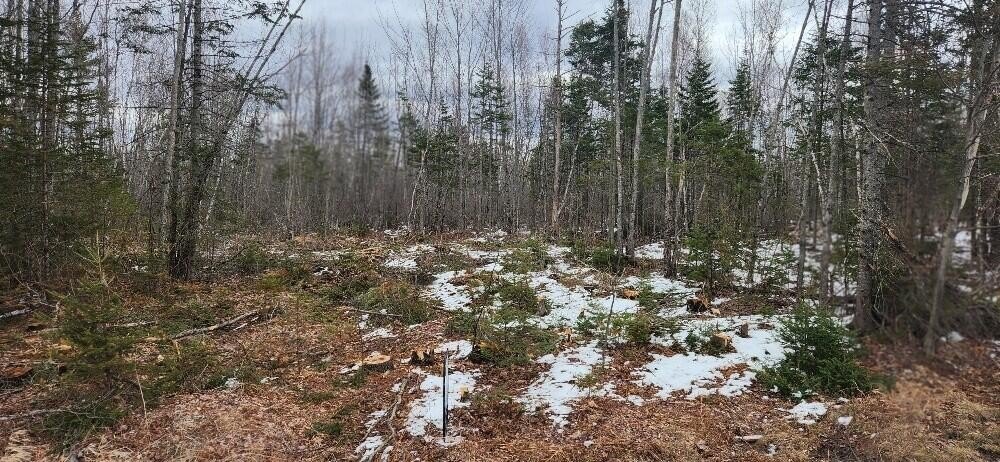 Other - Route 2, Greenbush, ME