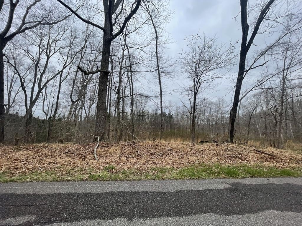 Other - 1 Forest Trail, BUMPUS MILLS, TN