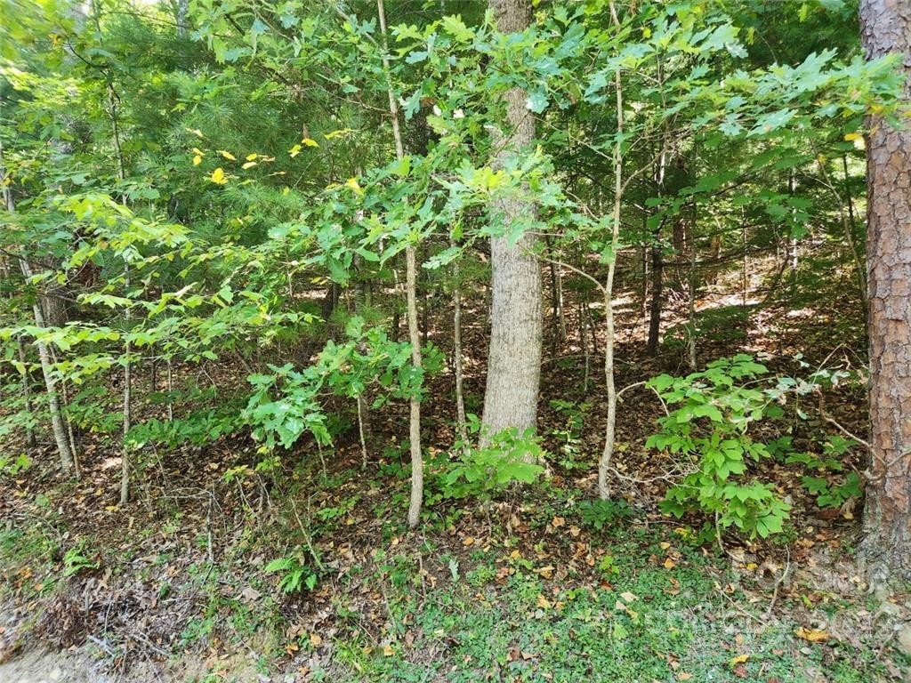 Other - 23 Overlook Park Drive, Hendersonville, NC
