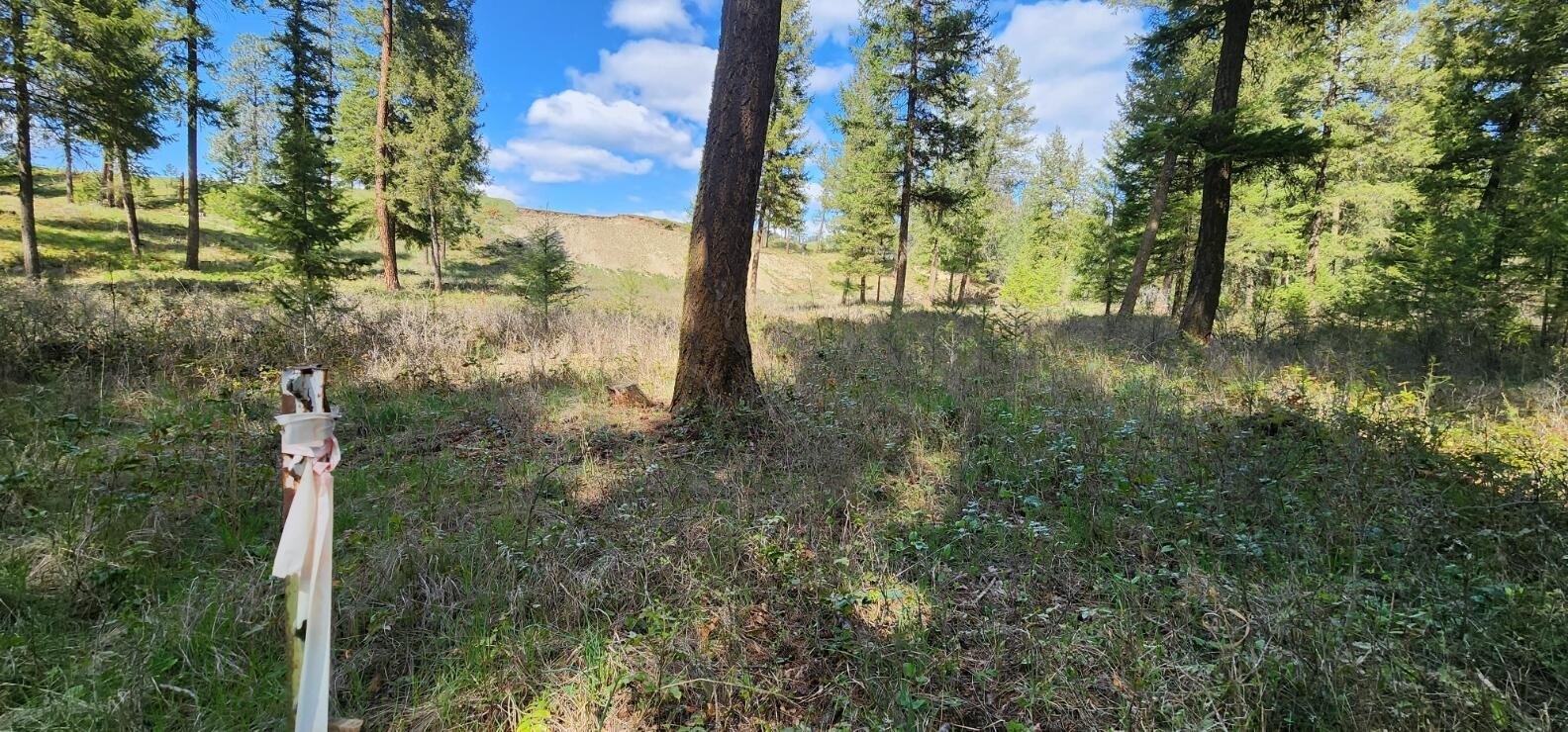 Other - 780 GILLETTE Rd, COLVILLE, WA