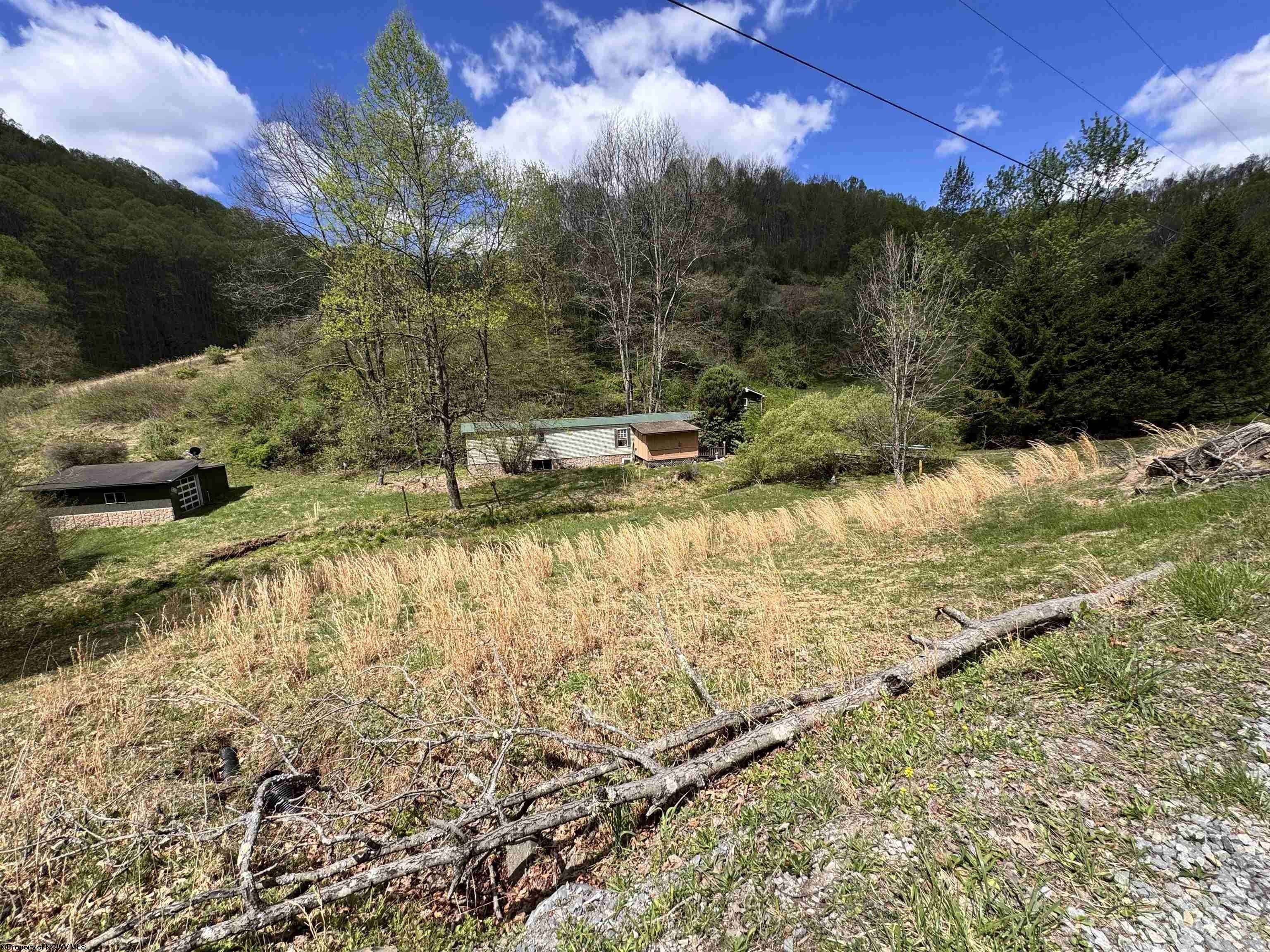 Other - 601 Shaw Hallow Road, Wallace, WV
