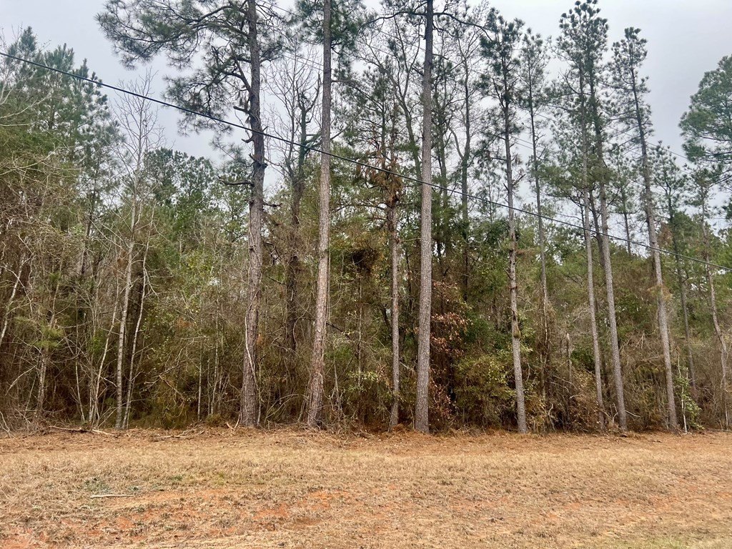 Other - 00 CR 8, Laurel, MS