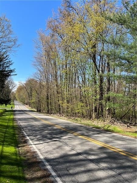 Other - Mercer Avenue, Hermitage, PA