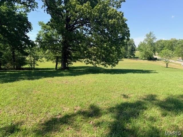 Other - 0 West Bluff Estates Lot 35, Poplar Bluff, MO