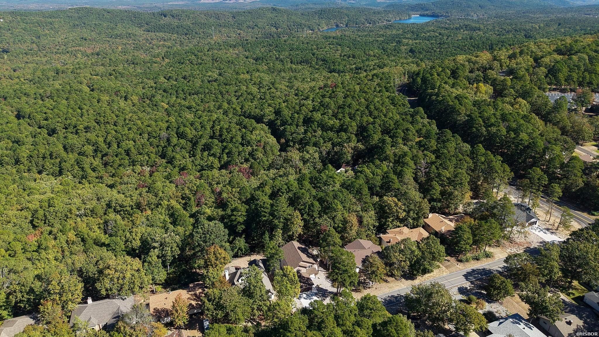 Other 4BR 4BA - 44 ALICANTE Road, Hot Springs Village, AR