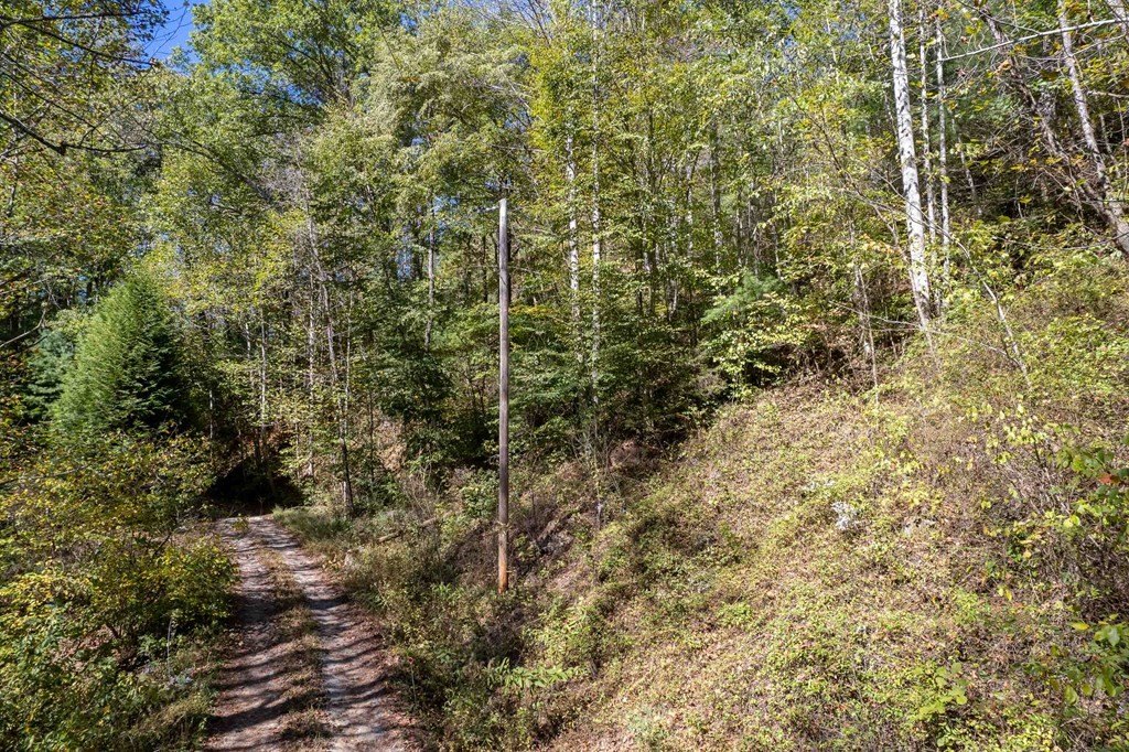Other - Bello Lago Ln. lot: 5, Tuckasegee, NC