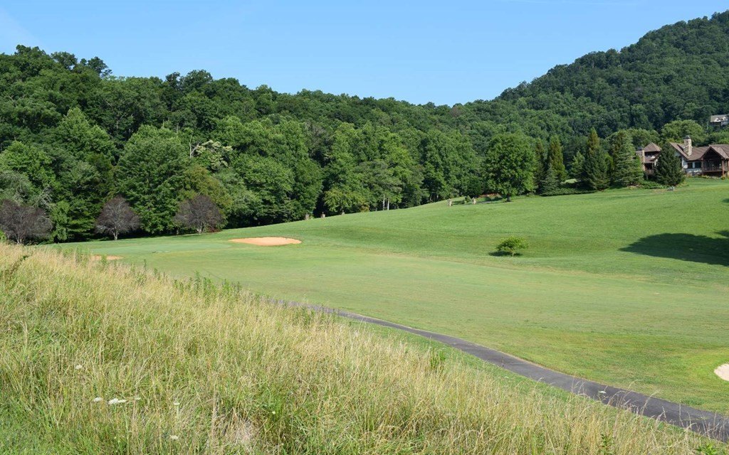 Other - Lot 125A Mountain Harbor, HAYESVILLE, NC