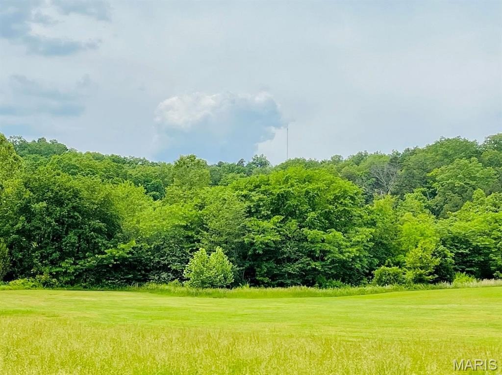 Other - Deer Run Plat 12 Lot 9, Van Buren, MO