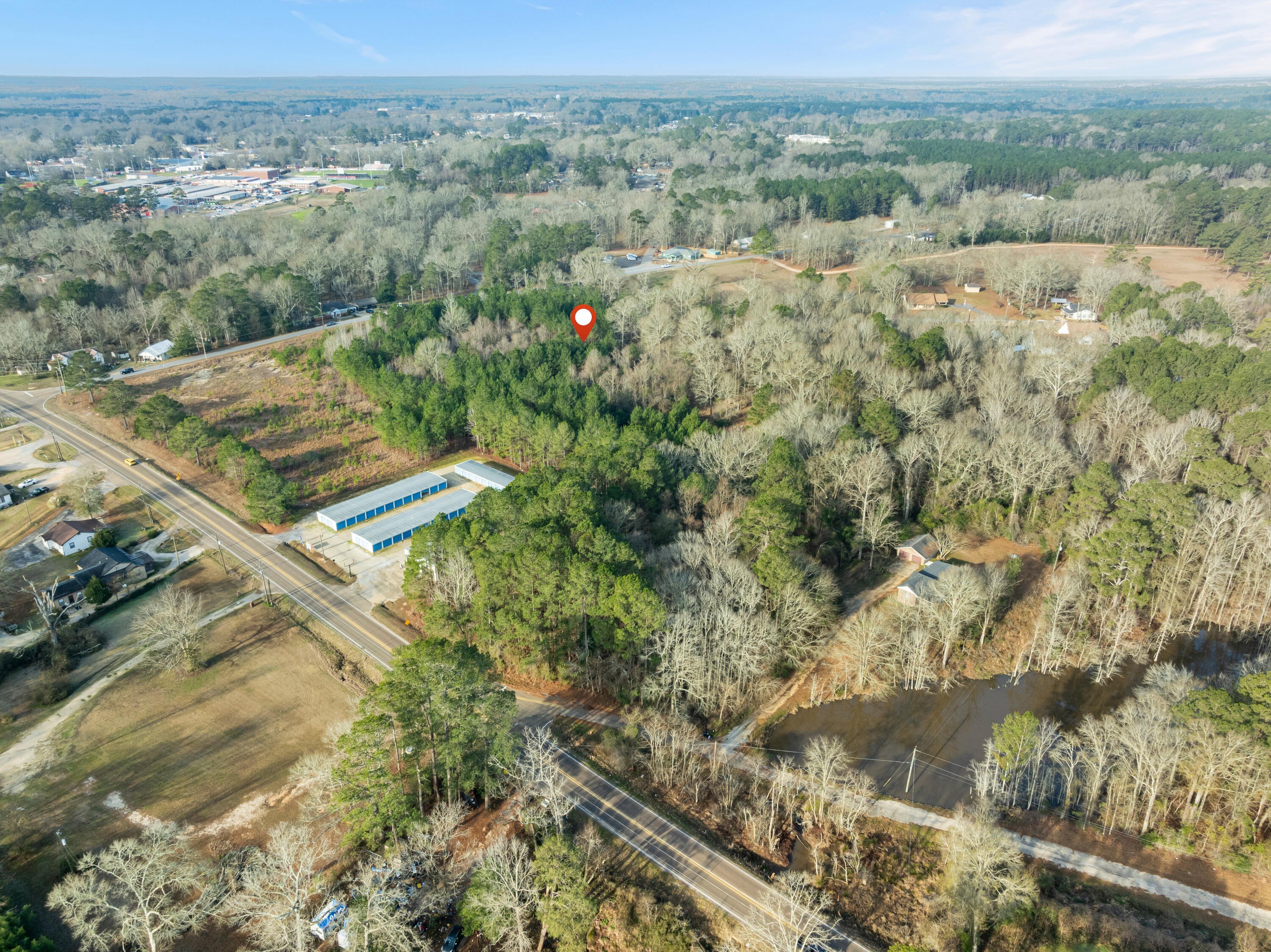Plots and Land - 12 Acres Highway 11, Ellisville, MS
