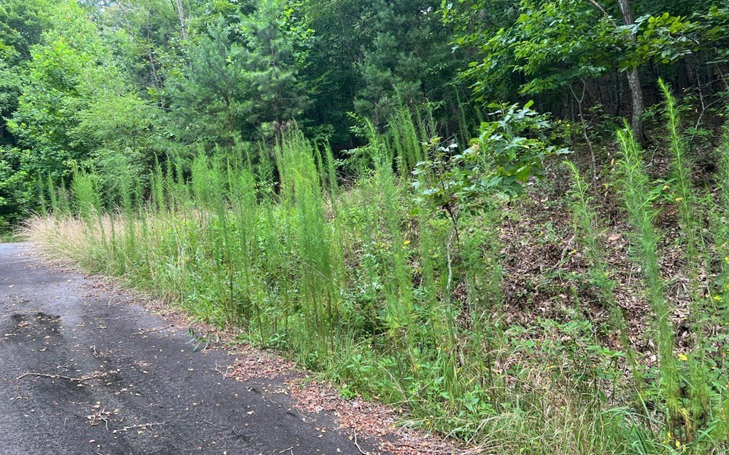 Other - Lot 12 The Preserve, BRASSTOWN, NC