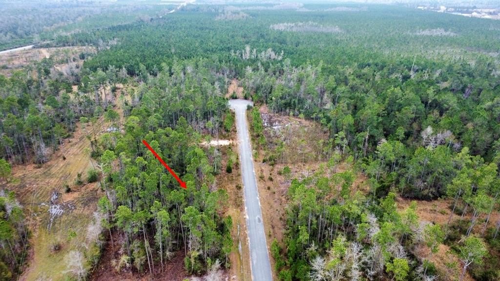 Other - Jazzy Lane lot: 9, Wewahitchka, FL