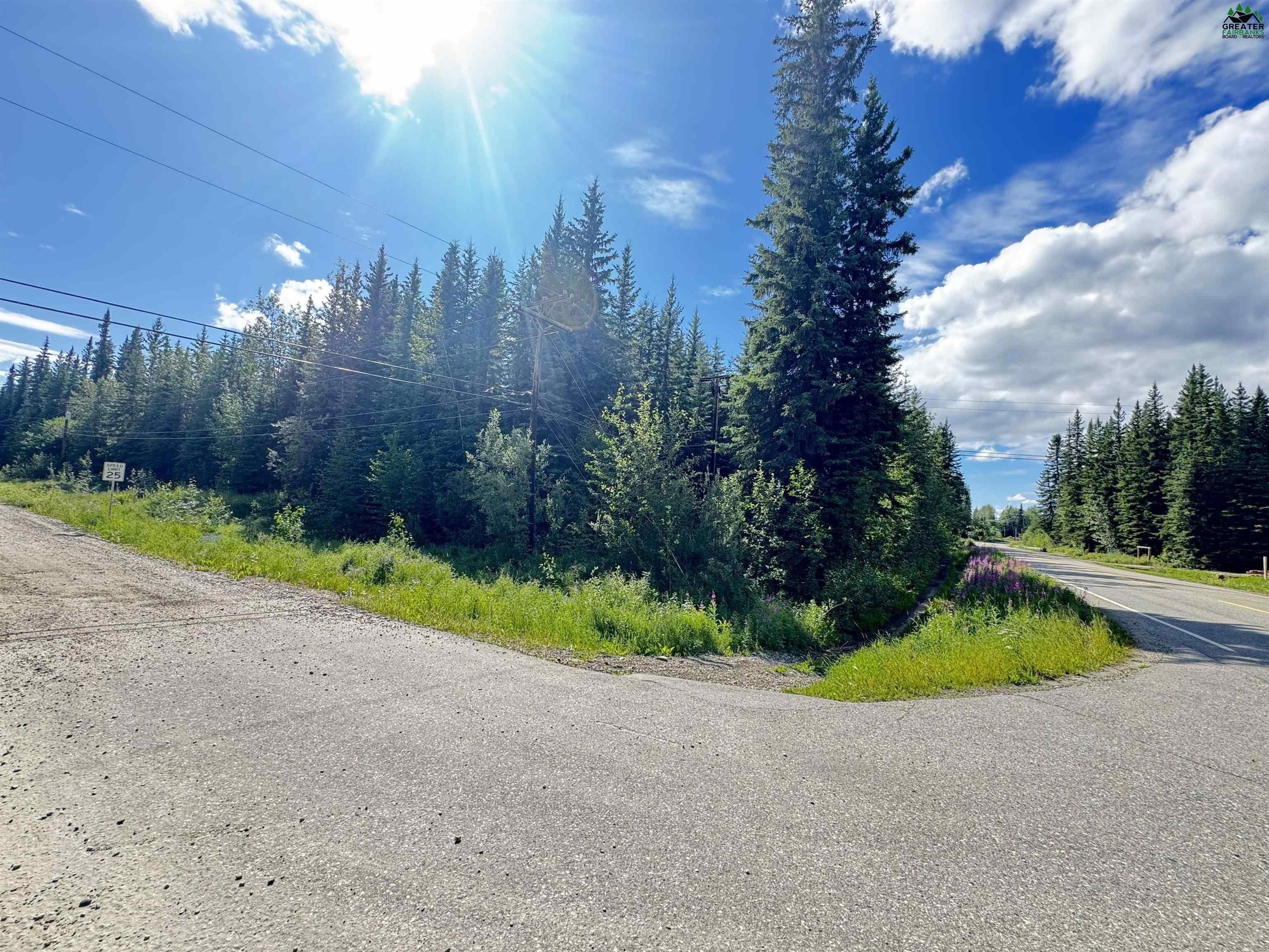 Other - NHN CHRISTINE DRIVE, North Pole, AK