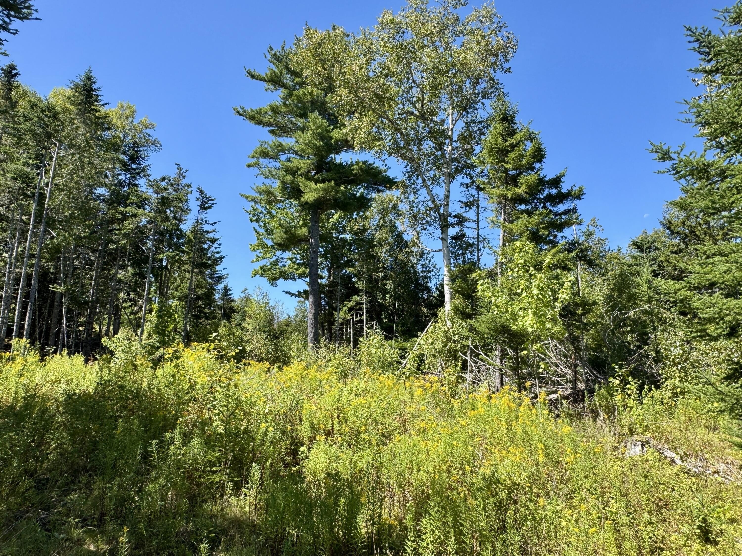 Other - Red Rock Estates lot: 13, Pembroke, ME
