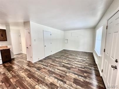 Other - 302 N Spring St, Steelville, MO