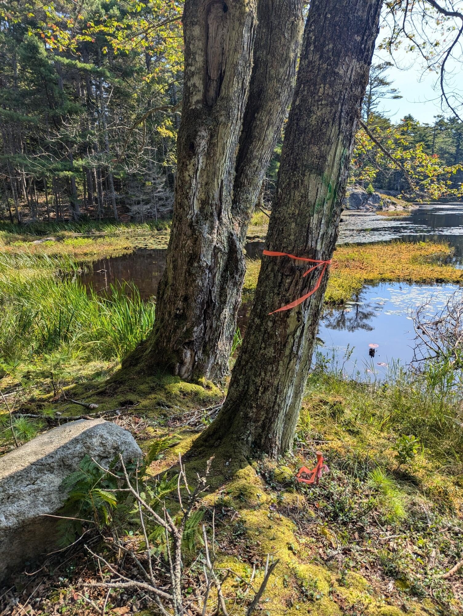 Other - Route #144 (Main Road), Westport Island, ME