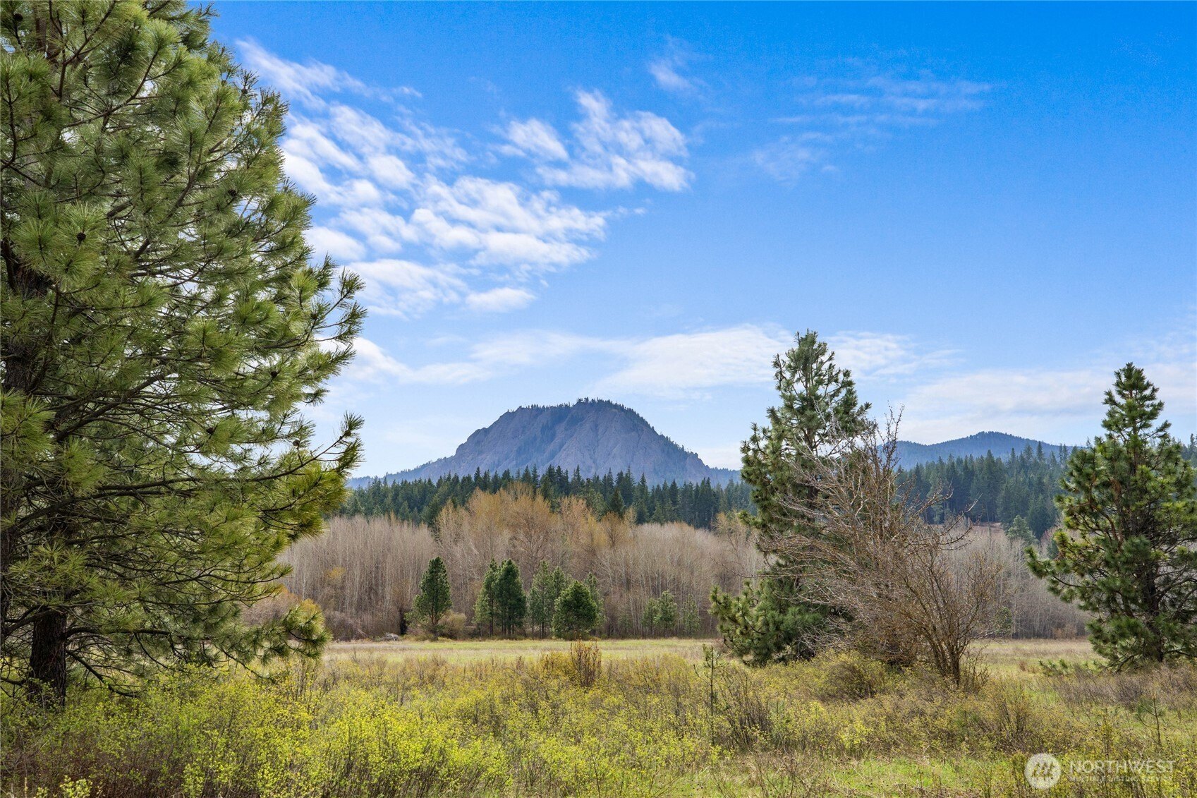 Other - 0 Westside Rd PCL -10579 & 10580, Cle Elum, WA
