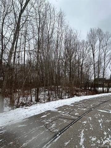 Other - Brandi Lane, Handy Twp, MI