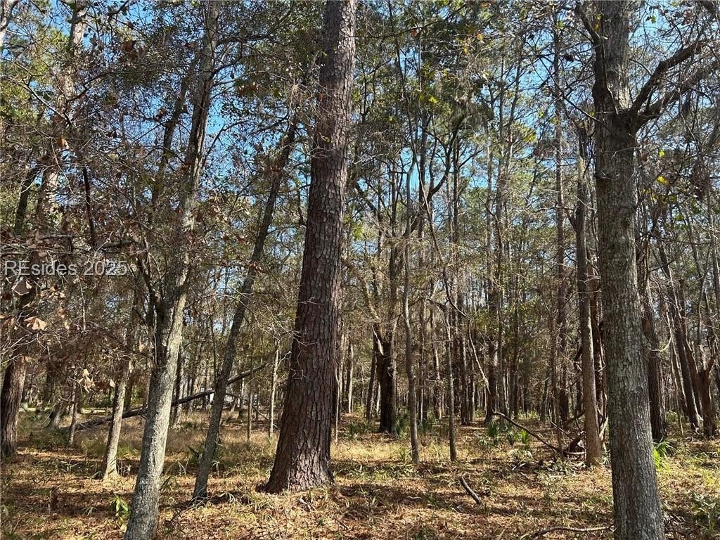 Other - 14 Captain Monroe Lane, Daufuskie Island, SC
