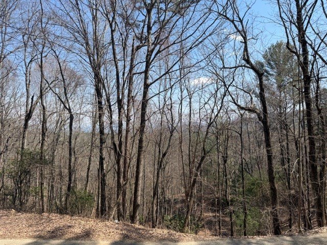 Other - Lot 16 Laurel Mountain, Brasstown, NC