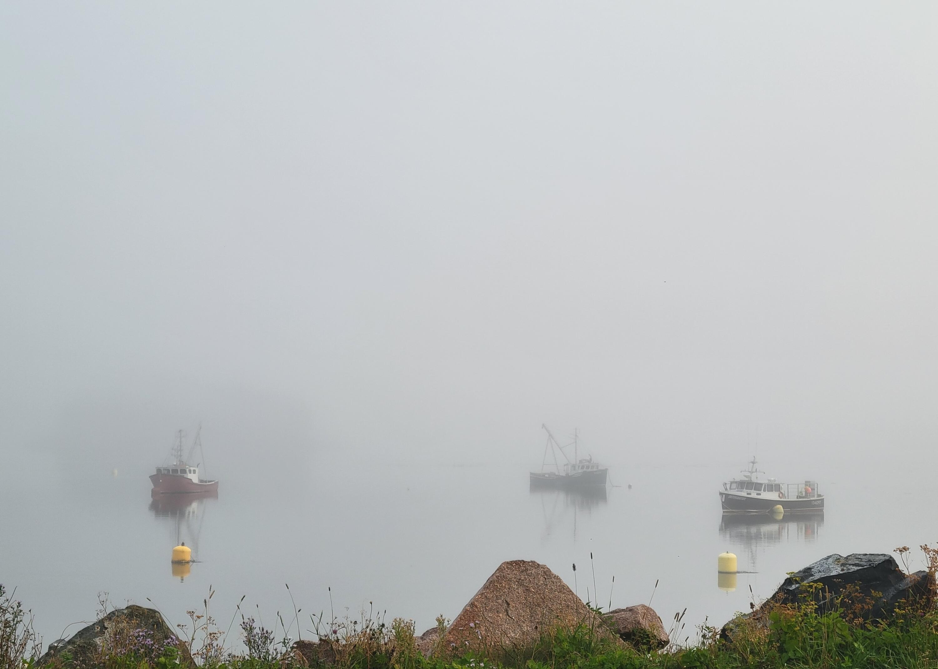 Lot#25A-14 Blackwood Ln