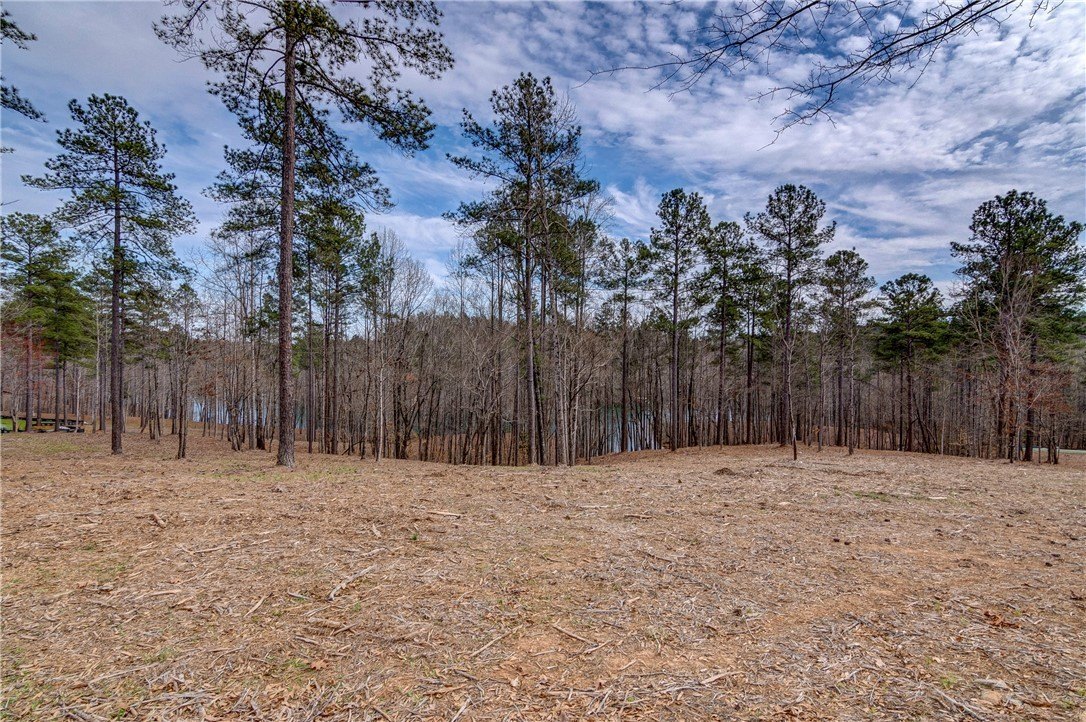 Other - Grays Peak Drive lot: 14, Salem, SC