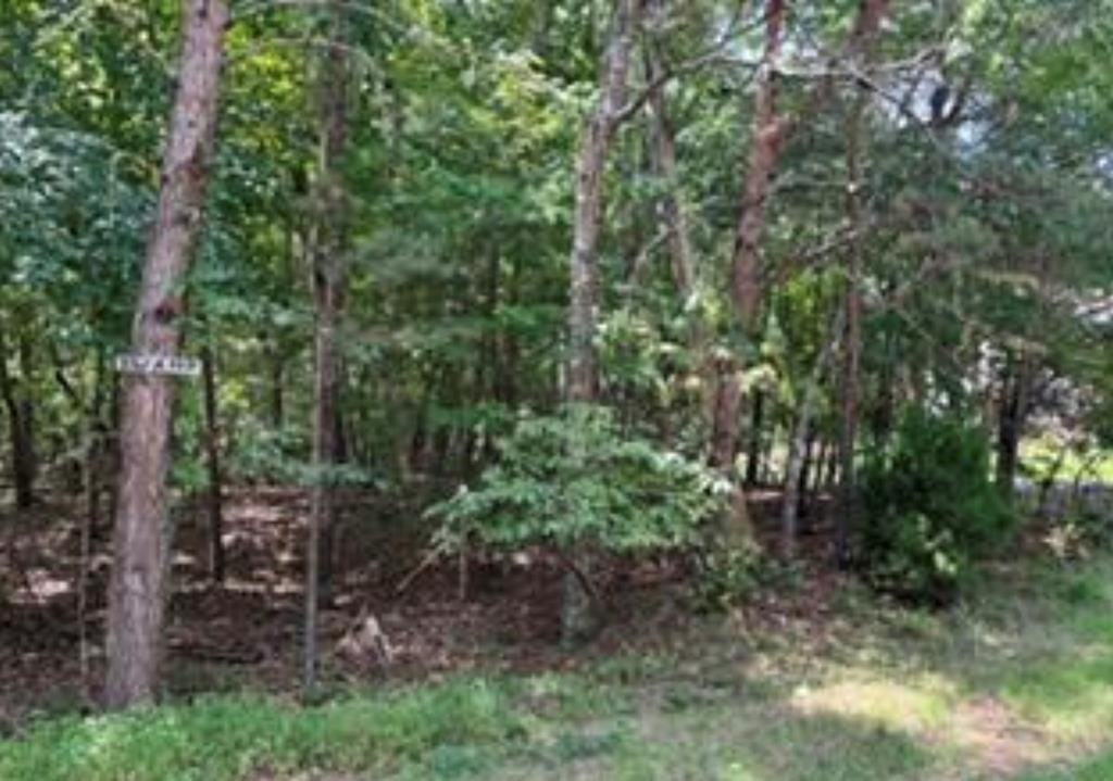 Other - 125 Lechmere Drive lot: 45, Crossville, TN