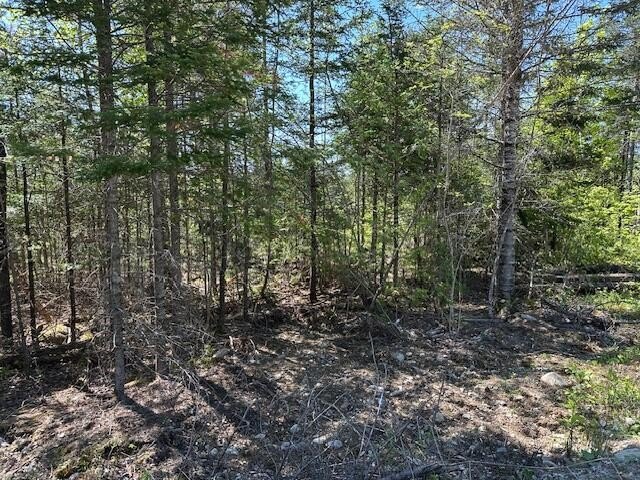 Other - Mt. Jefferson Heights lot: 1, Lee, ME