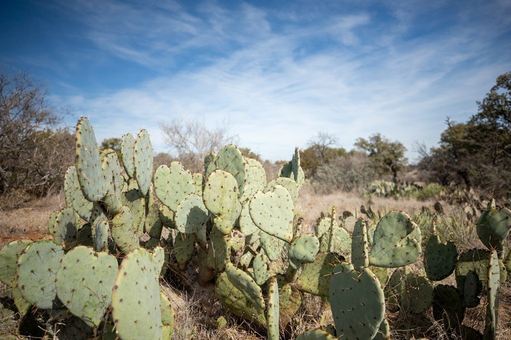 Plots and Land - 16719 Lot 2 -- Salt Branch Loop, Mason, TX