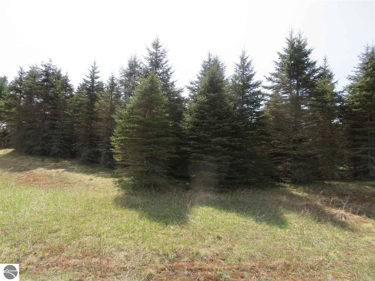 3 Spruce Holw Trce